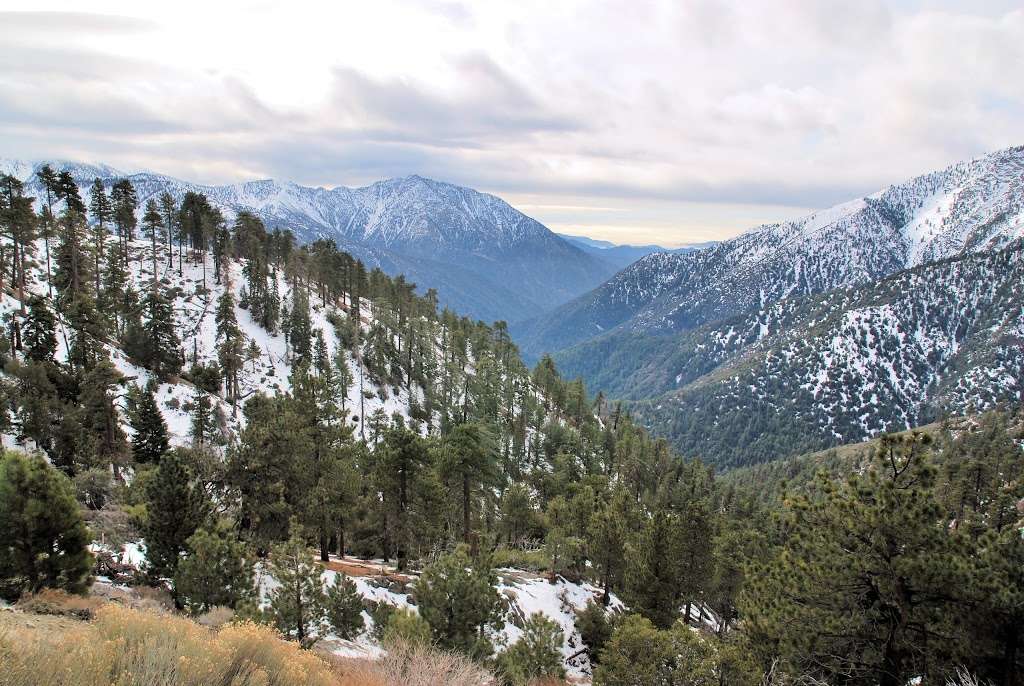 Grassy Hollow Visitor Center | CA-2, Valyermo, CA 93563, USA | Phone: (626) 821-6737