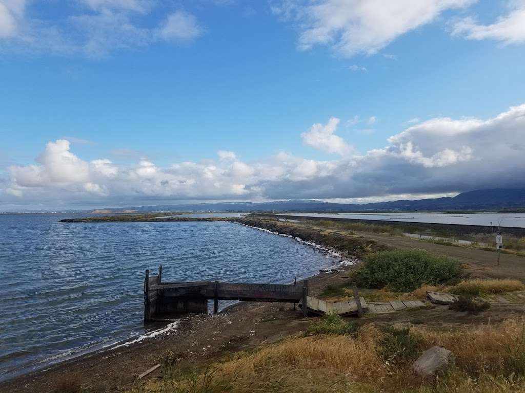 Alviso Marina County Park | 1195 Hope St, Alviso, CA 95002, USA | Phone: (408) 262-6980