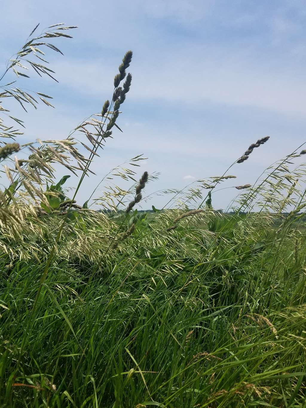 Glacial Park Pavilion | 6482 Harts Rd, Ringwood, IL 60072, USA