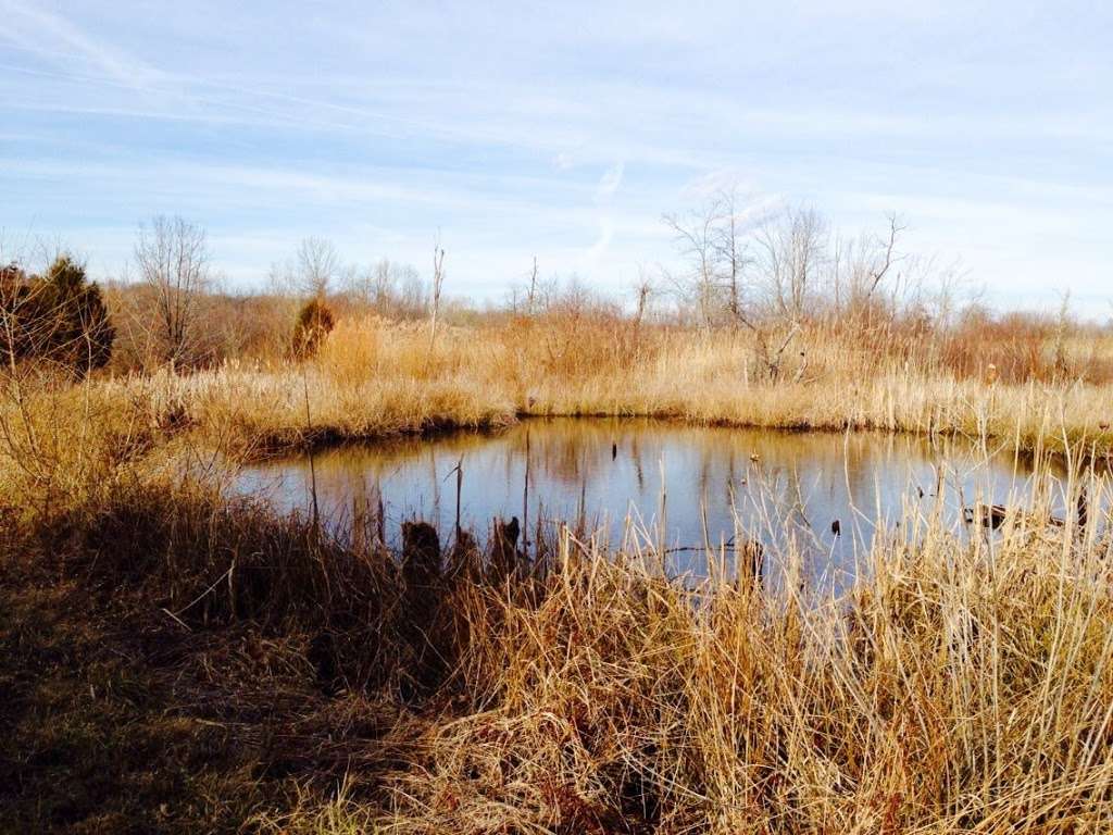 Wootons Landing Wetland Park | 4550 Sands Rd, Harwood, MD 20776, USA | Phone: (410) 741-9330