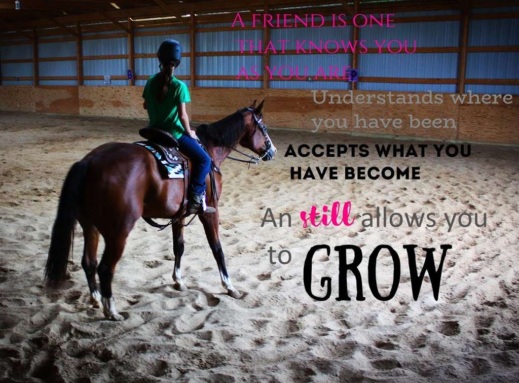 Rafter B Ranch LLC | 2221 US-73, Hiawatha, KS 66434, USA | Phone: (785) 250-8553