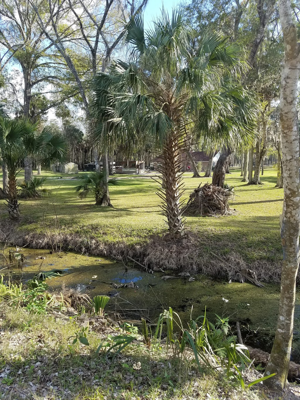 Emeralda Marsh Conservation Area | Emeralda Island Rd, Leesburg, FL 34788, USA | Phone: (386) 329-4404