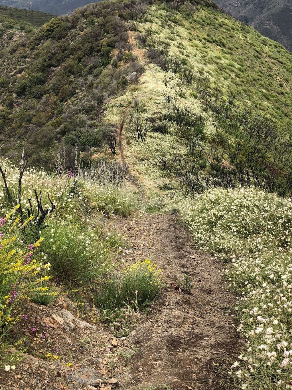 Small Peak at Robinson Ranch | Bell View Trail, Corona, CA 92883, USA