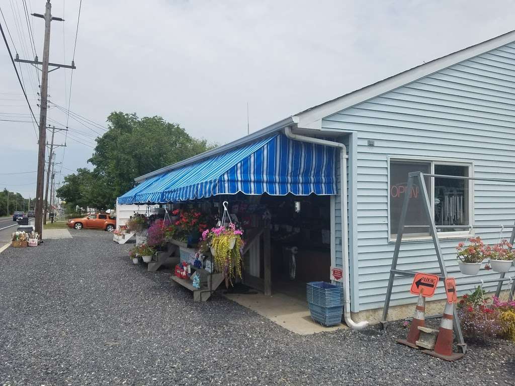 Delanceys Farm Market | 2562 Shore Rd, Ocean View, NJ 08230, USA | Phone: (609) 624-1713