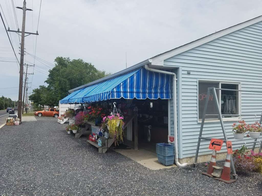 Delanceys Farm Market | 2562 Shore Rd, Ocean View, NJ 08230 | Phone: (609) 624-1713