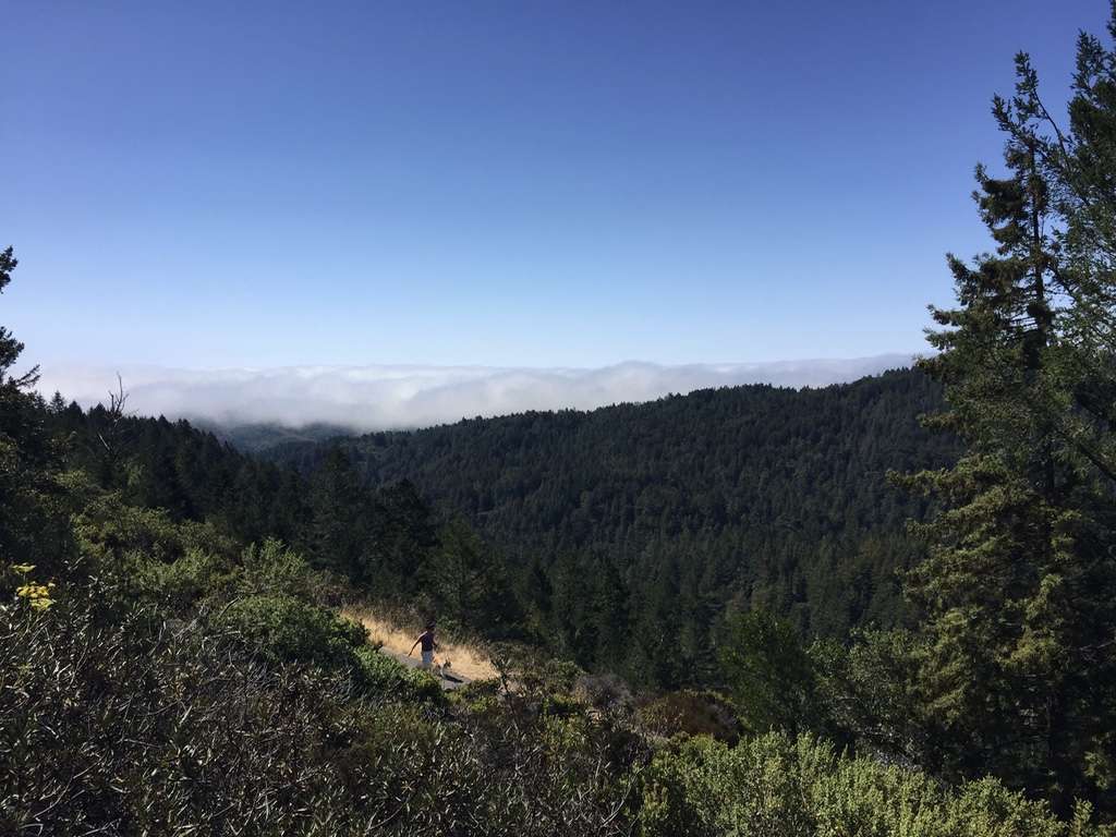 Mt. Talmalpais | Mill Valley, CA 94941, USA