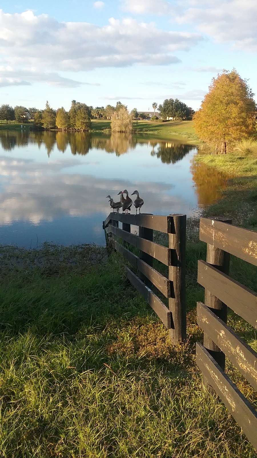 Buena Vista Bass Pond | Buena Vista Blvd, The Villages, FL 32162, USA