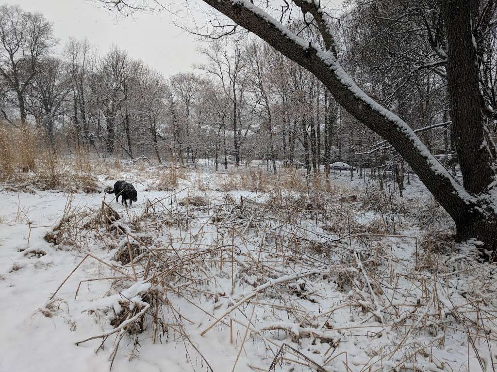 Clifford Dog Park | 6245 Wissahickon Ave, Philadelphia, PA 19144, USA