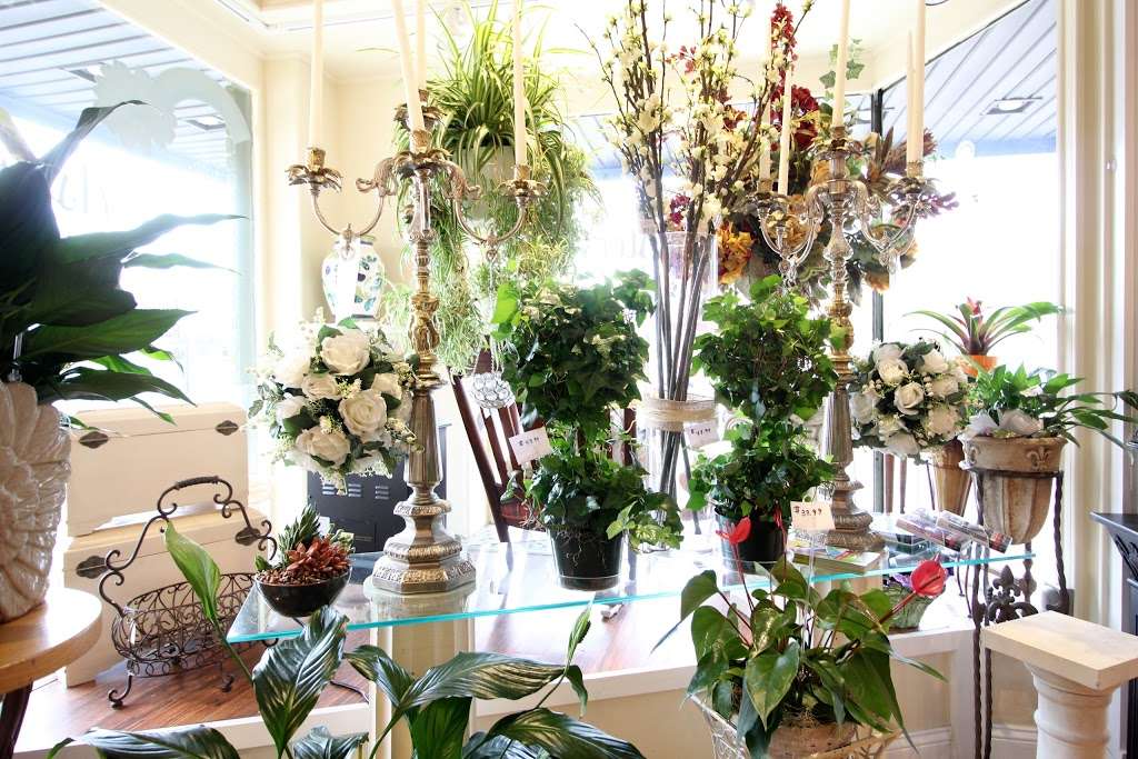 Asters Floral Shop | 41 Haddon Ave, Haddon Township, NJ 08108, USA | Phone: (856) 869-8500