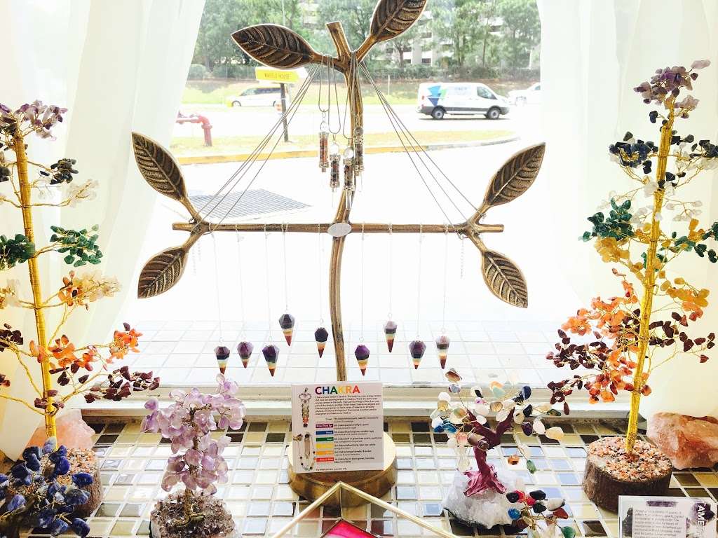 Psychic Shop 12801 S Apopka Vineland Rd Orlando Fl 32836 Usa