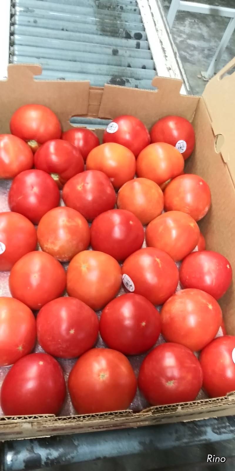 Tomato Thyme Corp. | 18632 US-301, Wimauma, FL 33598, USA | Phone: (813) 672-7707