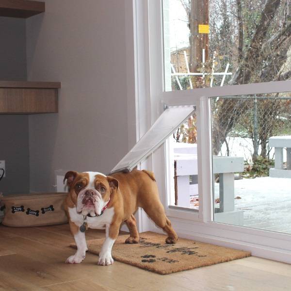 Pet Door Products | 3052 S 460 W Suite #100, Salt Lake City, UT 84115, United States | Phone: (801) 973-8000