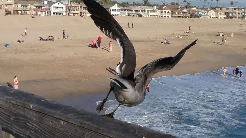 Seal Beach Police Department | 888 Ocean Ave, Seal Beach, CA 90740