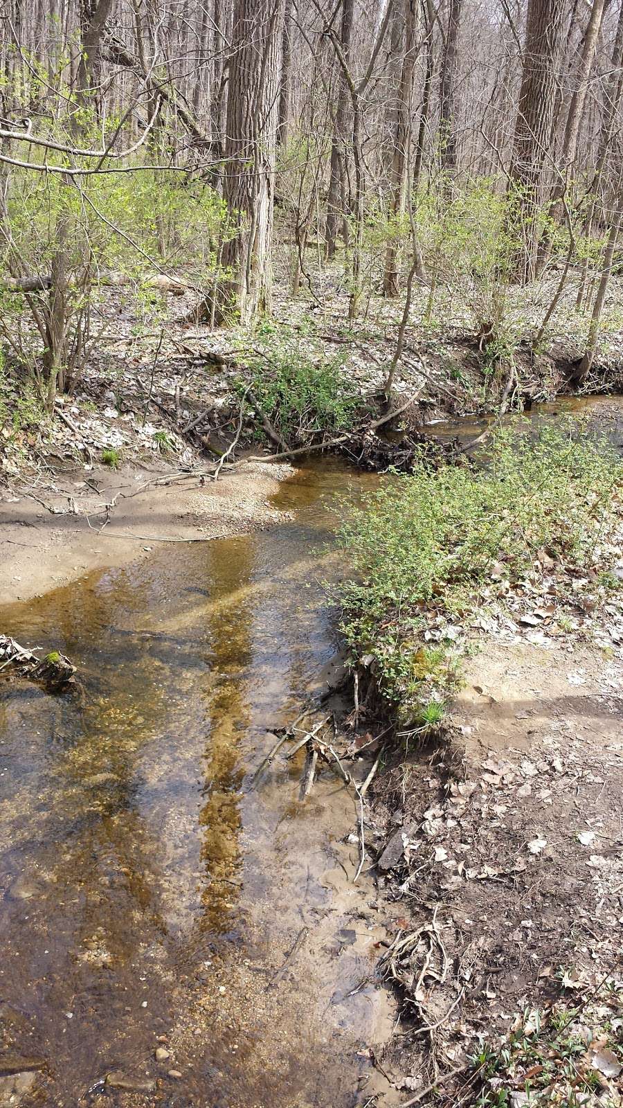 rangeline nature preserve