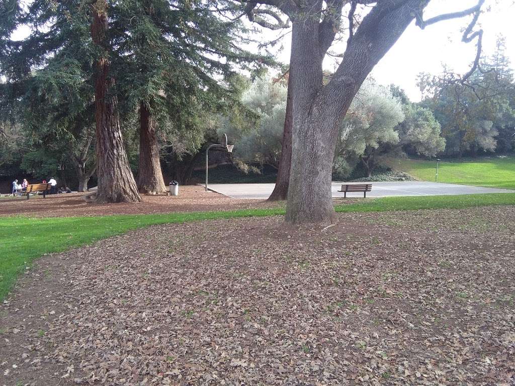 Bachman Park | 500 Bachman Ave, Los Gatos, CA 95030, USA | Phone: (408) 399-5770