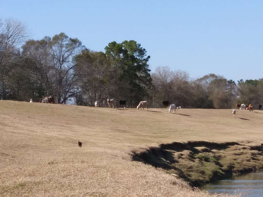 Greens Bayou Wetlands Mitigation Bank | Houston, TX 77044, USA | Phone: (713) 684-4100