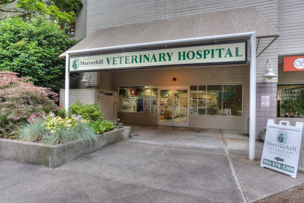 VCA Murrayhill Veterinary Hospital | 14831 SW Teal Blvd, Beaverton, OR 97007, USA | Phone: (503) 579-3300