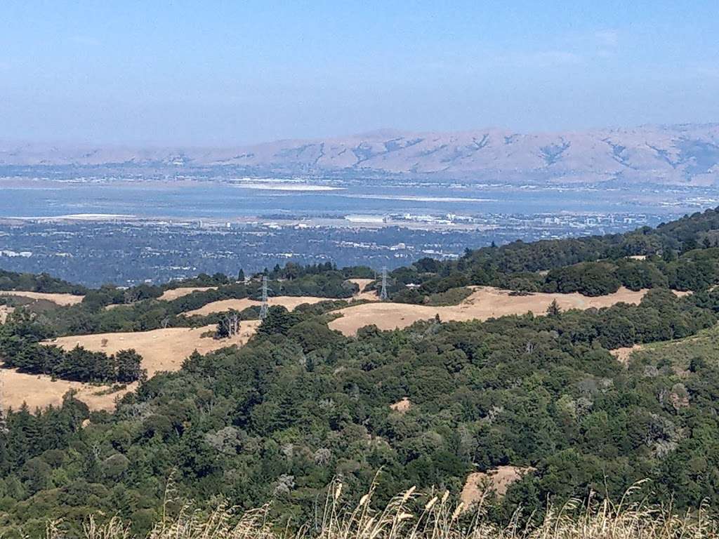 Borel Hill | Redwood City, CA 94062, USA