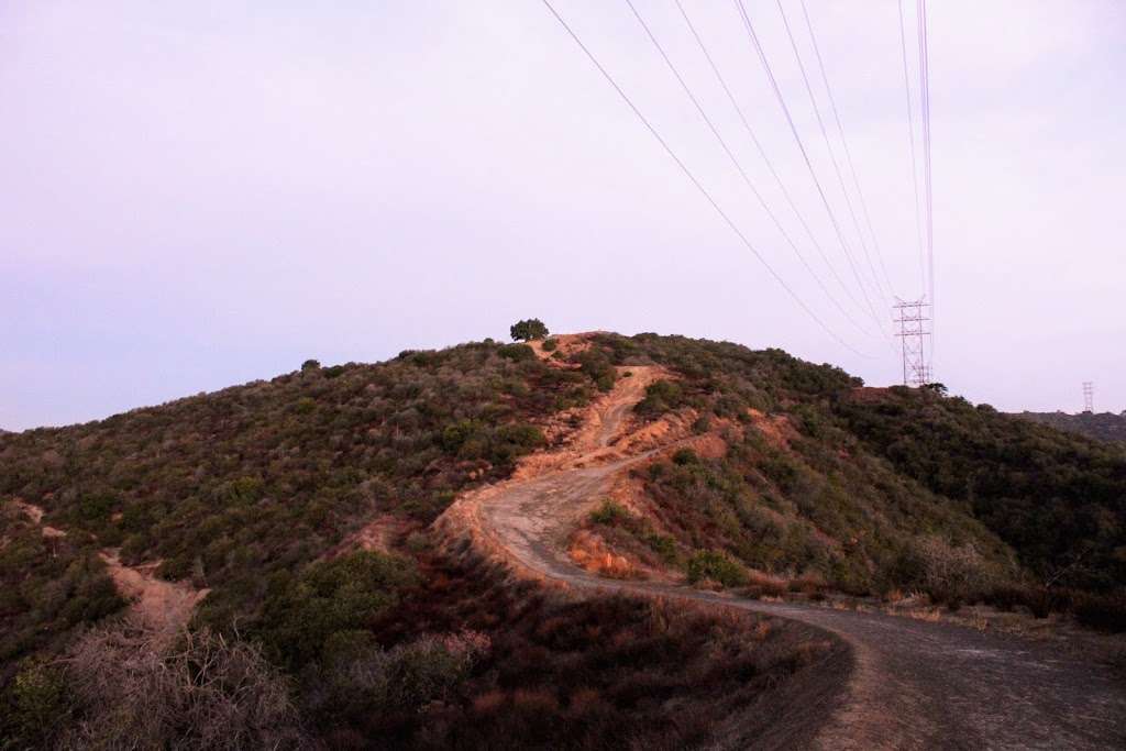 Canyonback Tree Swing | Lower Canyonback Trail, Los Angeles, CA 90049, USA