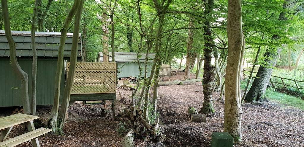 Sweetings Wood Glamping | Sweetings Wood Glamping, Fanshaws Ln, Bayford, Brickendon, Hertford SG13 8PF, UK