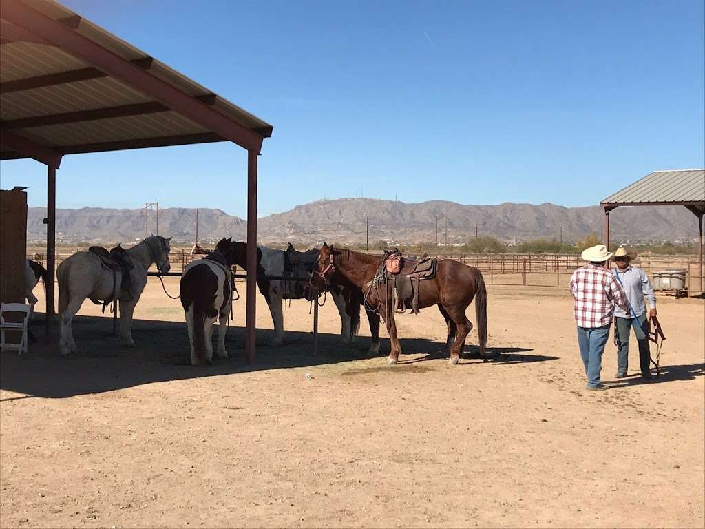 KOLI Equestrian Center | 6940 W BROKEN EAR RD, Chandler, AZ 85226, USA | Phone: (602) 796-3495