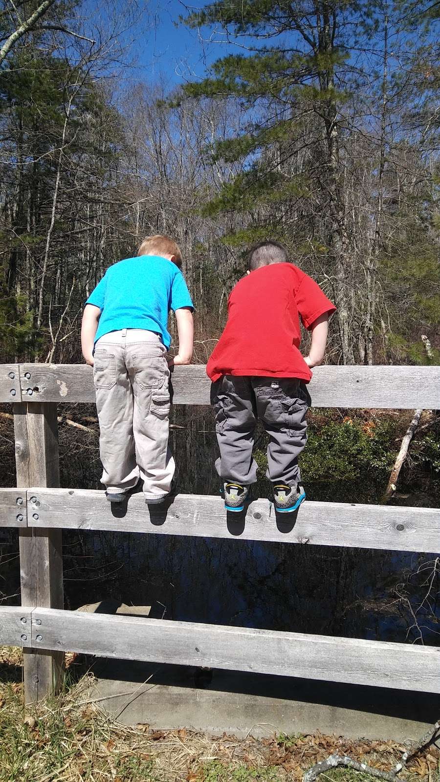 Cranberry Watershed Preserve | Bay Circuit Trail Kingston, Kingston, MA 02364