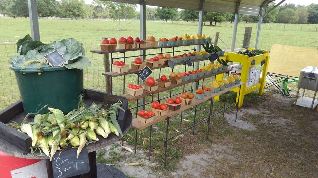 Dyess Family Farms/Fresh Produce | 5207, 1779 FL-471, Sumterville, FL 33585, USA | Phone: (352) 461-5054