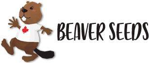 Beaver Seeds | 6955 Golfcrest Dr Apt 1044, San Diego, CA 92119, United States | Phone: (833) 688-8581