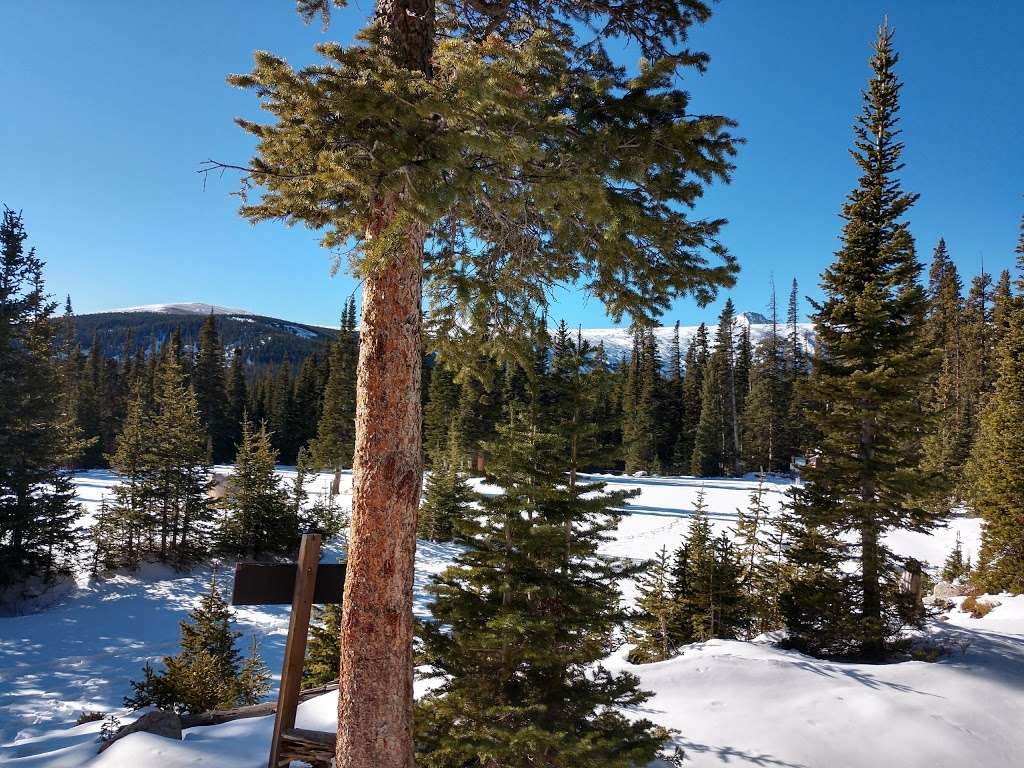 Mitchell Lake Trailhead | Forest Rd 1122C, Ward, CO 80481, USA