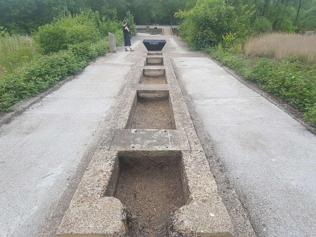 Middlesex Filter Beds Nature Reserve | London E5 0AF, UK | Phone: 0300 003 0610