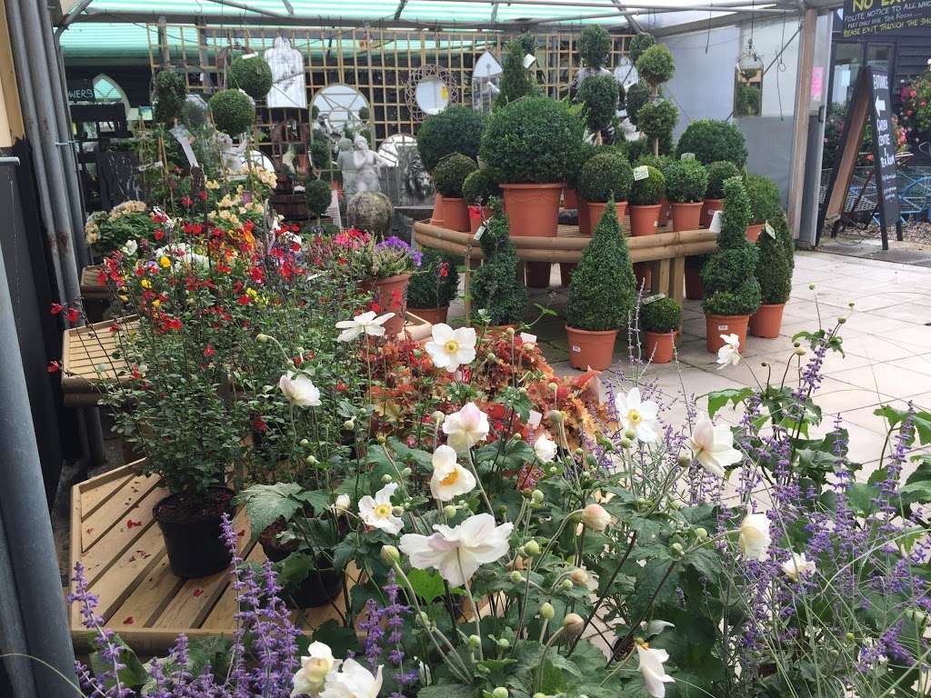 Hanging Gardens Nurseries Ltd | Ongar Road West, Writtle, Chelmsford CM1 3NT, UK | Phone: 01245 421020