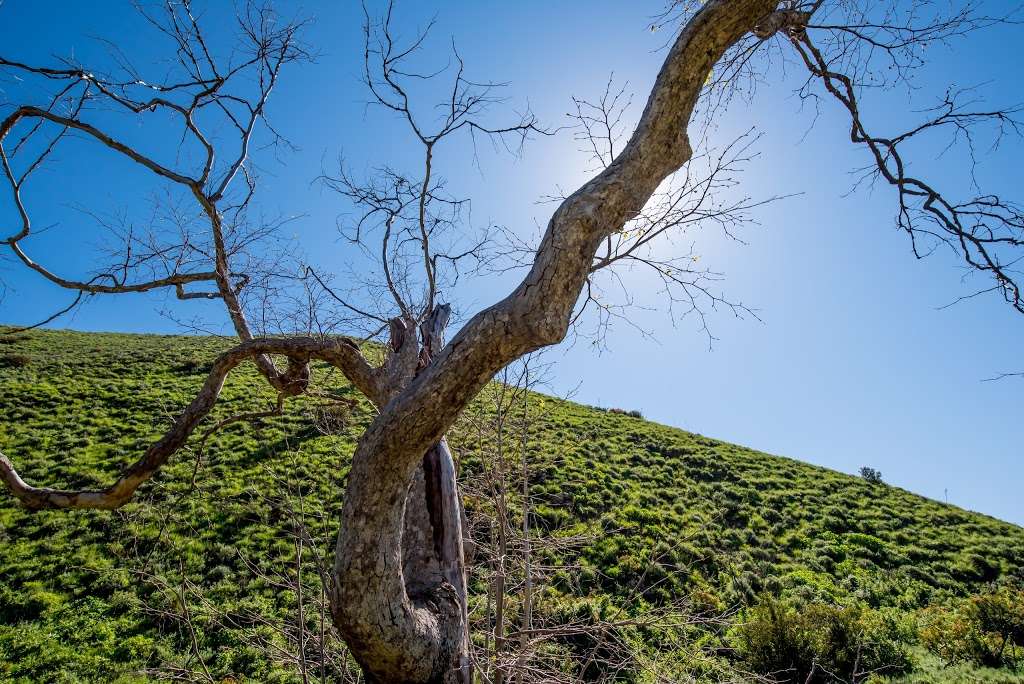 Sycamore Canyon Trailhead | Point Mugu State Park, Malibu, CA 90265, USA | Phone: (310) 457-8143