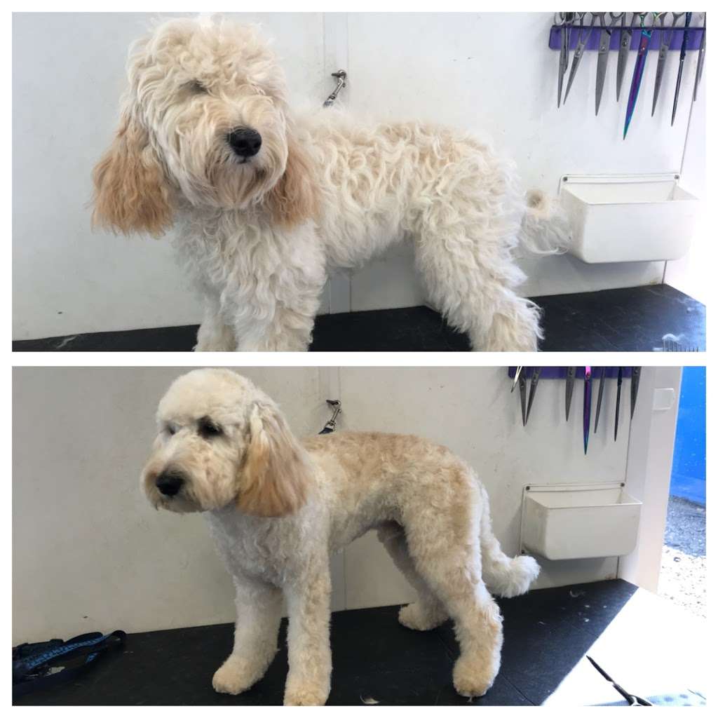 The Grooming Cabin at Animall | Crown Corner, Crown Road, Kelvedon Hatch, Brentwood Essex CM14 5TB, UK | Phone: 07533 493978