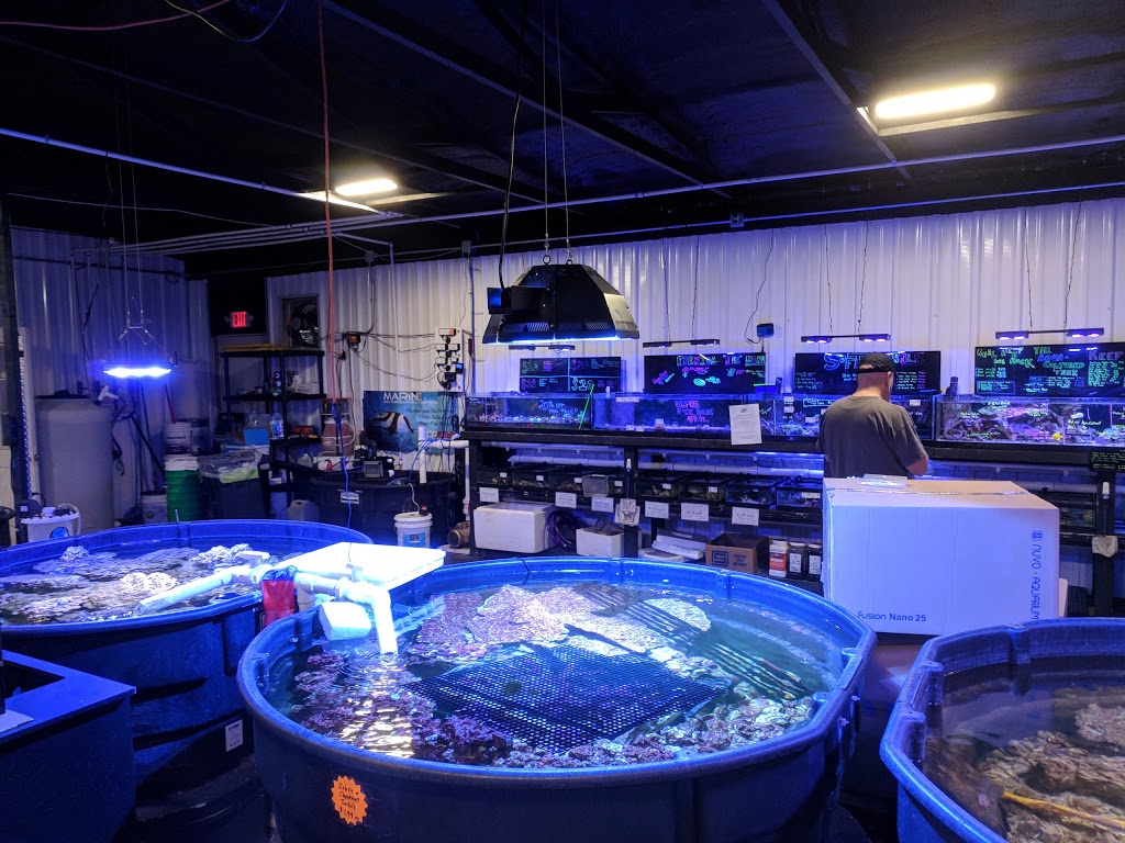 Premium Aquatics | 401 E Center Cross St, Edinburgh, IN 46124, USA | Phone: (317) 895-9005