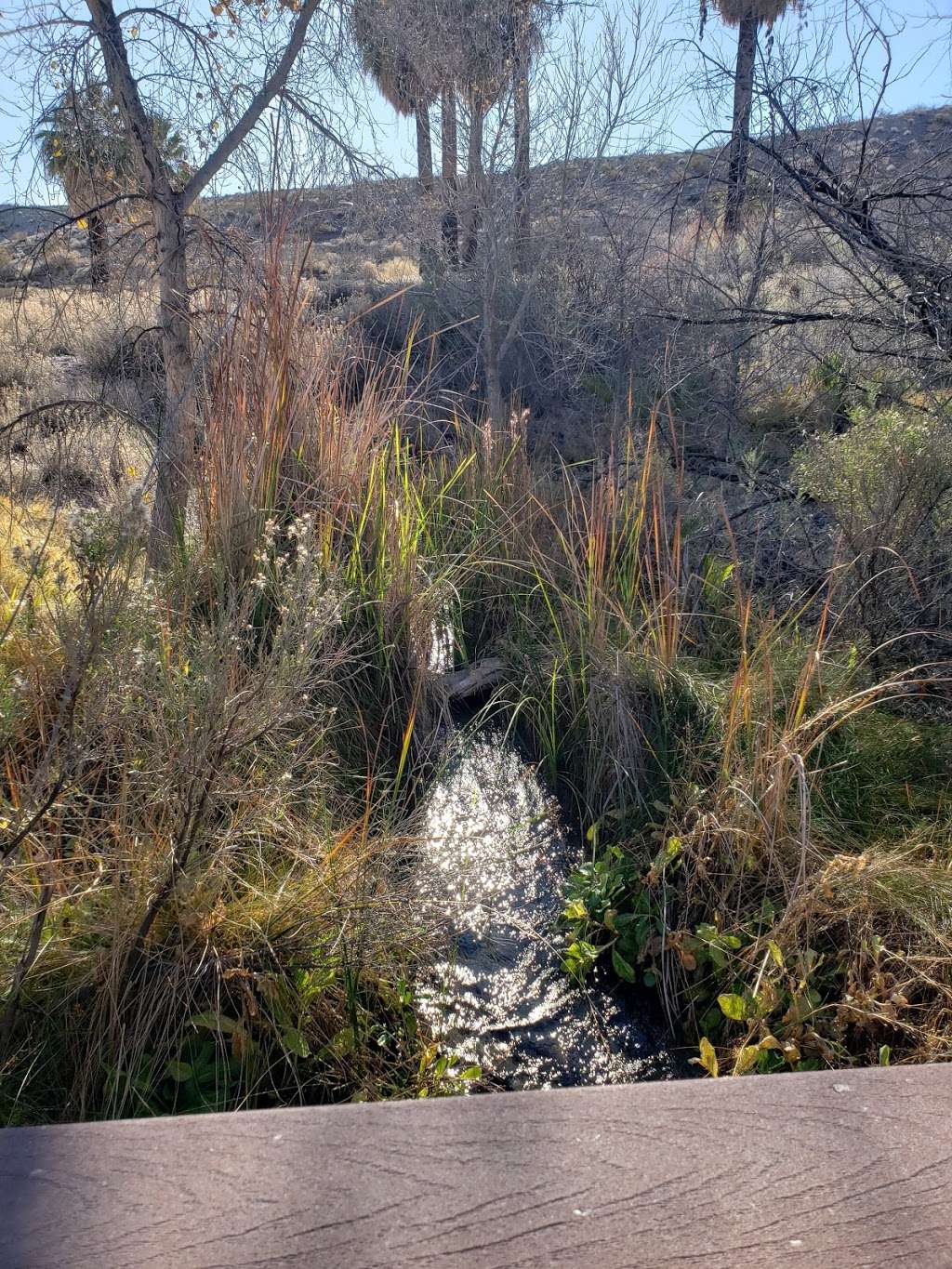 Moapa Valley National Wildlife Refuge | Moapa, NV 89025, USA | Phone: (775) 725-3417