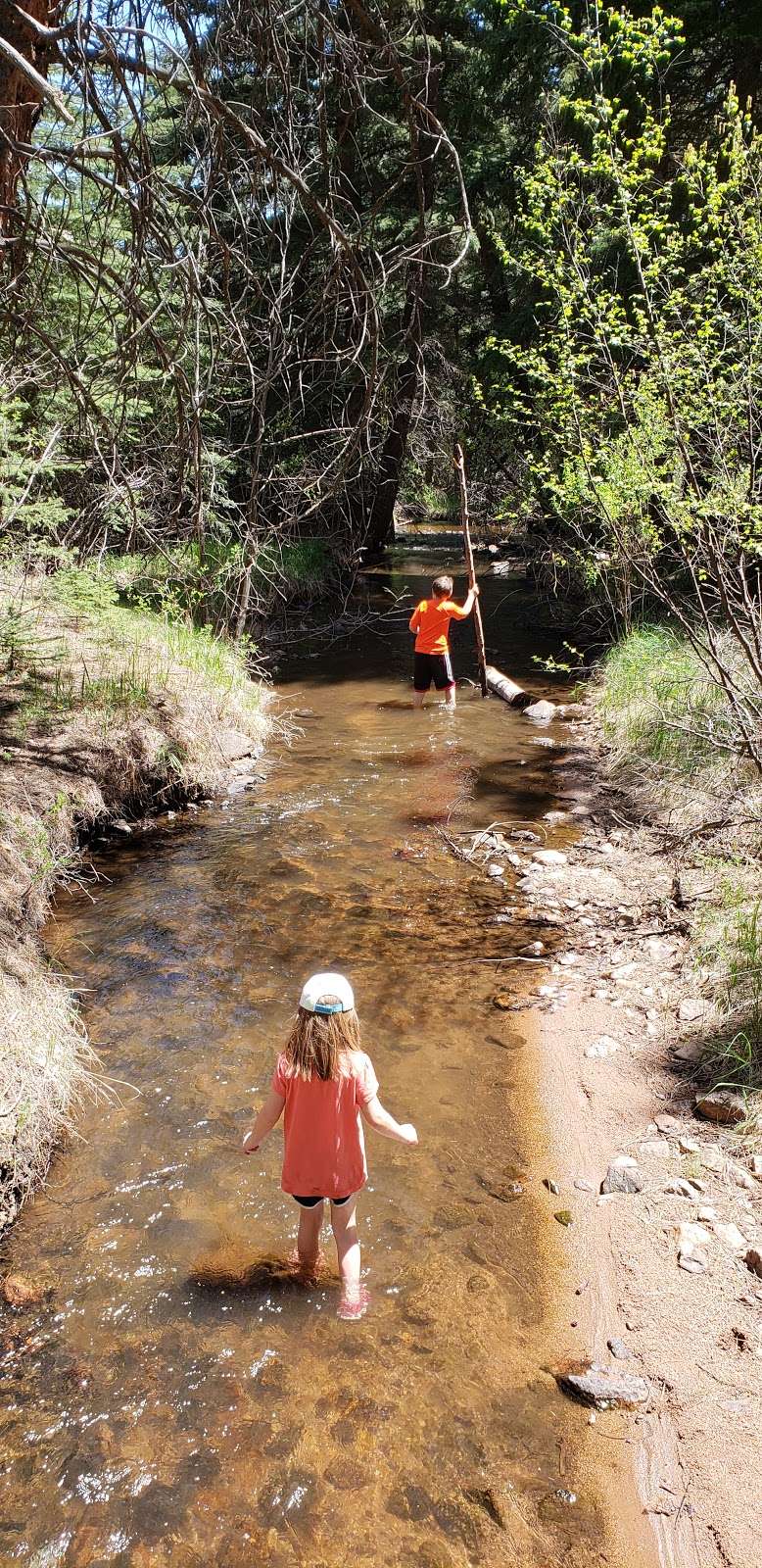 Buffalo Creek Campground | 28707 Redskin Creek Rd, Pine, CO 80470, USA