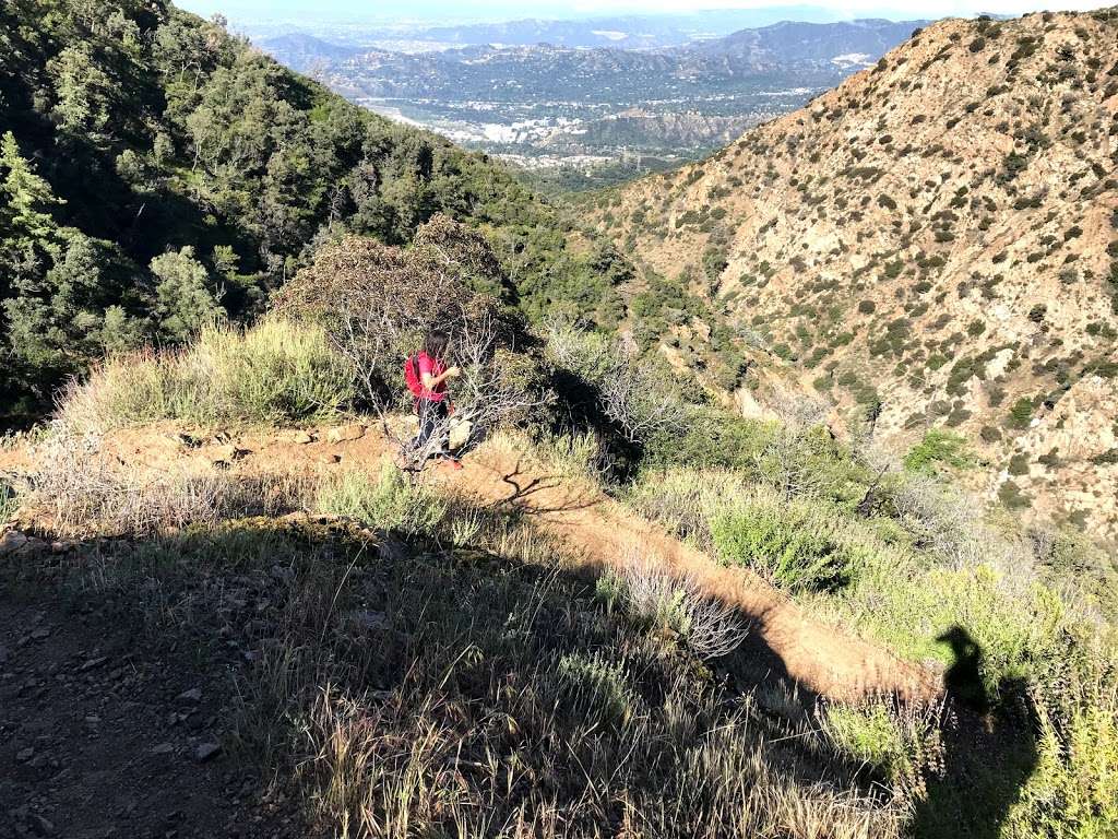 Dawn Mine Trail | Altadena, CA 91001, USA