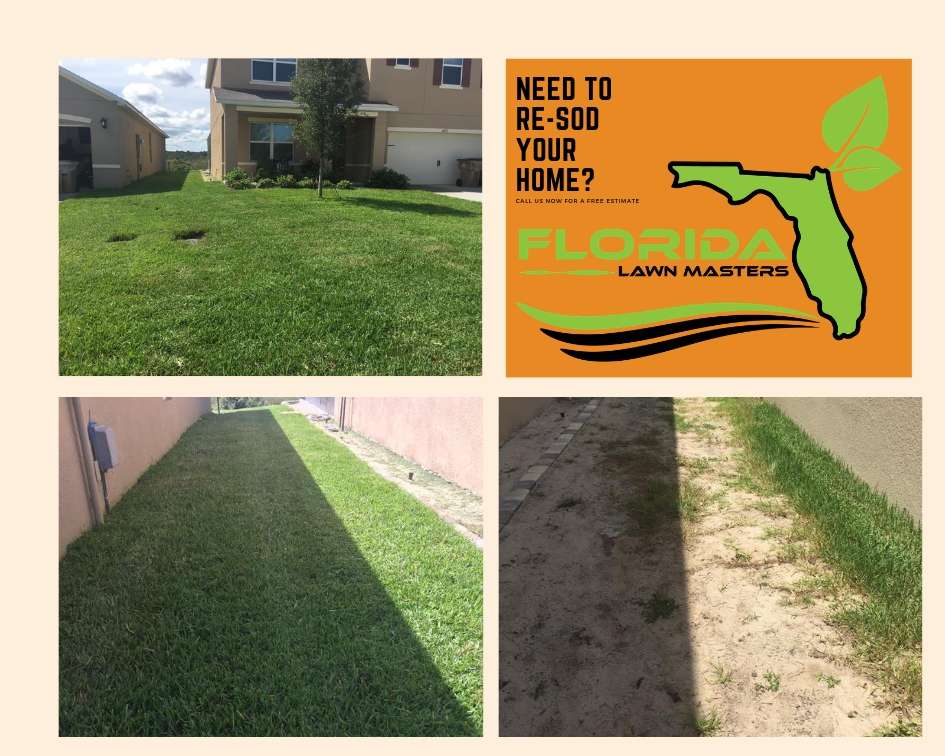 Florida Lawn Masters | 3669 Maidencain St, Clermont, FL 34714, USA | Phone: (407) 801-3017