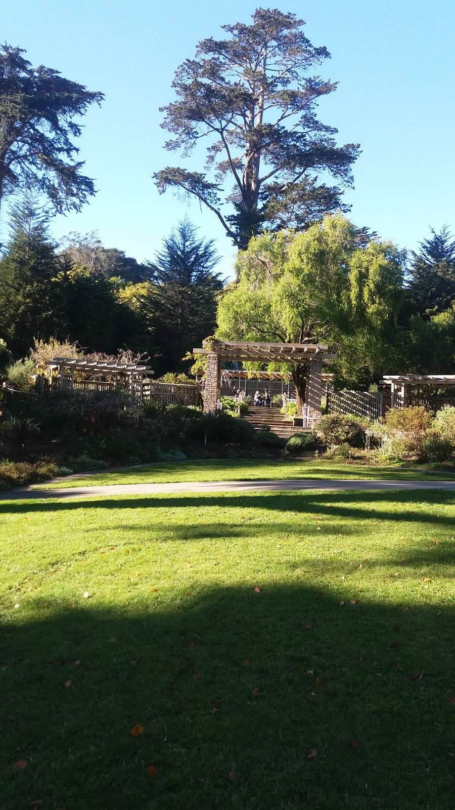 Zellerbach Garden of Perennials | Cloud Forest Path, San Francisco, CA 94122, USA | Phone: (415) 661-1316