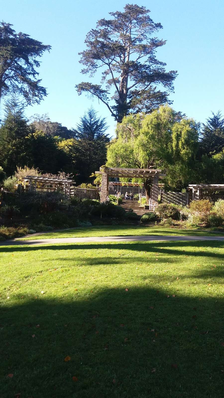 Zellerbach Garden Of Perennials Cloud Forest Path San Francisco Ca 94122 Usa
