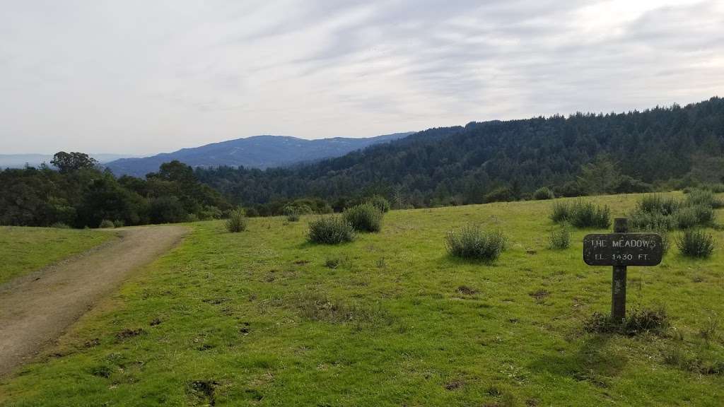 The Meadows | Intersection of Meadow Trail and Wunderlich Park, Bear Gulch Trail, Woodside, CA 94062, USA