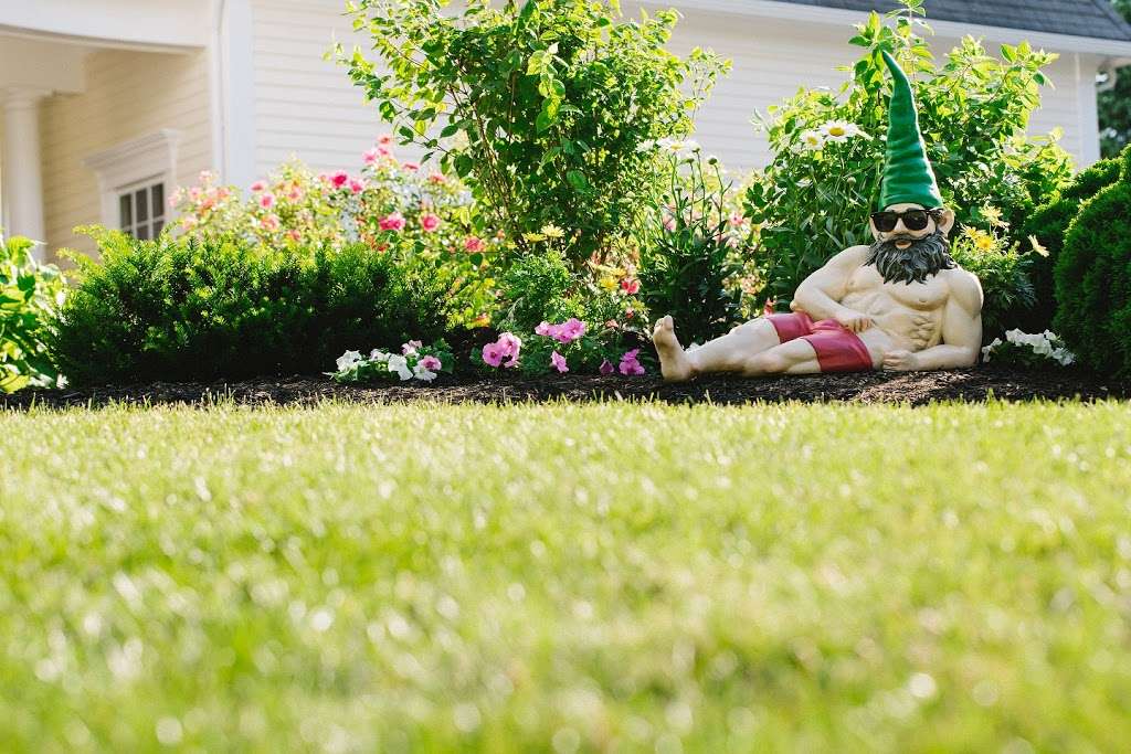 Lawn Doctor of Berkeley-Jefferson Counties | 1606 Rock Cliff Dr, Martinsburg, WV 25401 | Phone: (304) 263-1966