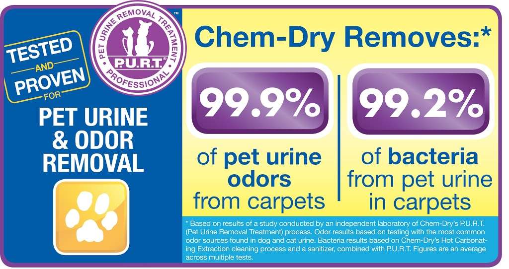 Chem-Dry San Antonio | 13330 Western Oak Dr ste 5, San Antonio, TX 78023, USA | Phone: (210) 680-1370