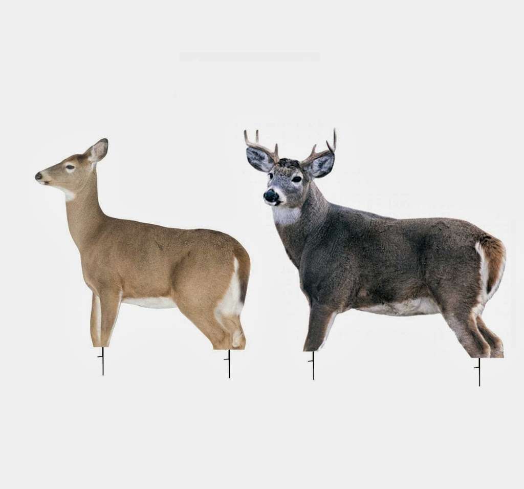 Carolina Sportsman | 1118 W Charlotte Ave, Mt Holly, NC 28120, USA