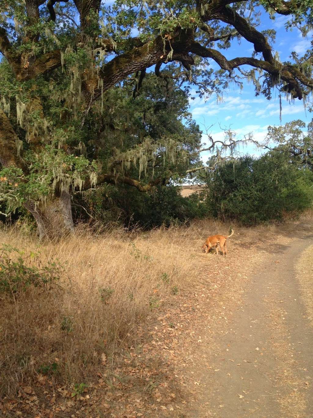 Crane Creek Regional Park | 5000 Pressley Rd, Santa Rosa, CA 95404, USA | Phone: (707) 539-8092