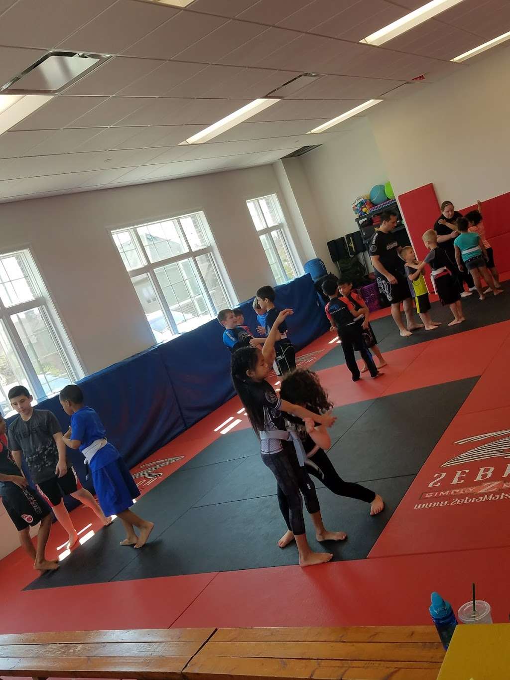 Randori Jiu Jitsu | 12509 W 159th St, Homer Glen, IL 60491 | Phone: (708) 374-1446