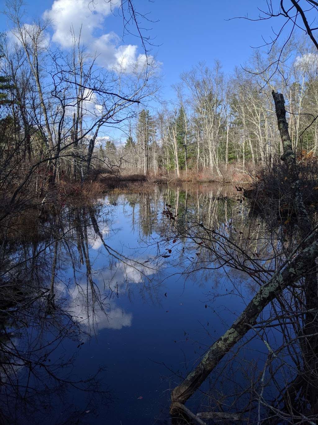 Oxbow National Wildlife Refuge | 33-1 Still River Depot Rd, Harvard, MA 01451, USA | Phone: (978) 443-4661