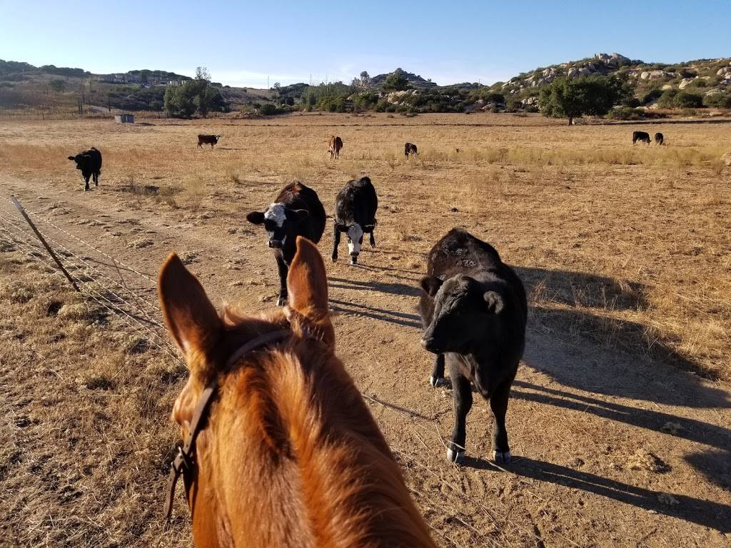 Barnett Ranch Preserve | Deviney Lane at, San Vicente Rd, Ramona, CA 92065 | Phone: (760) 788-3326