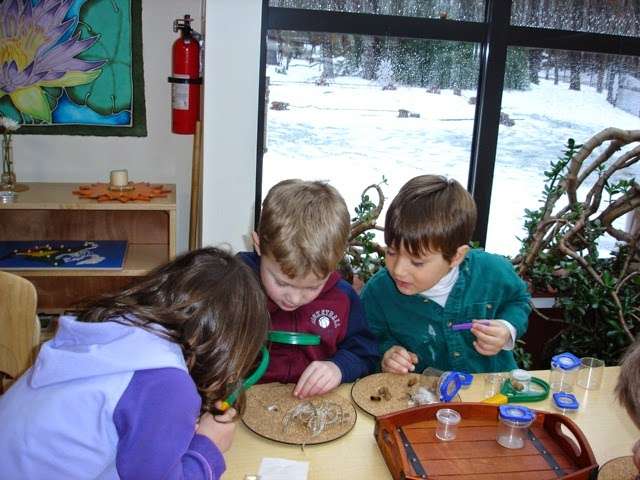 Elements Montessori School | 221 Summer St, Duxbury, MA 02332, USA | Phone: (781) 585-8222