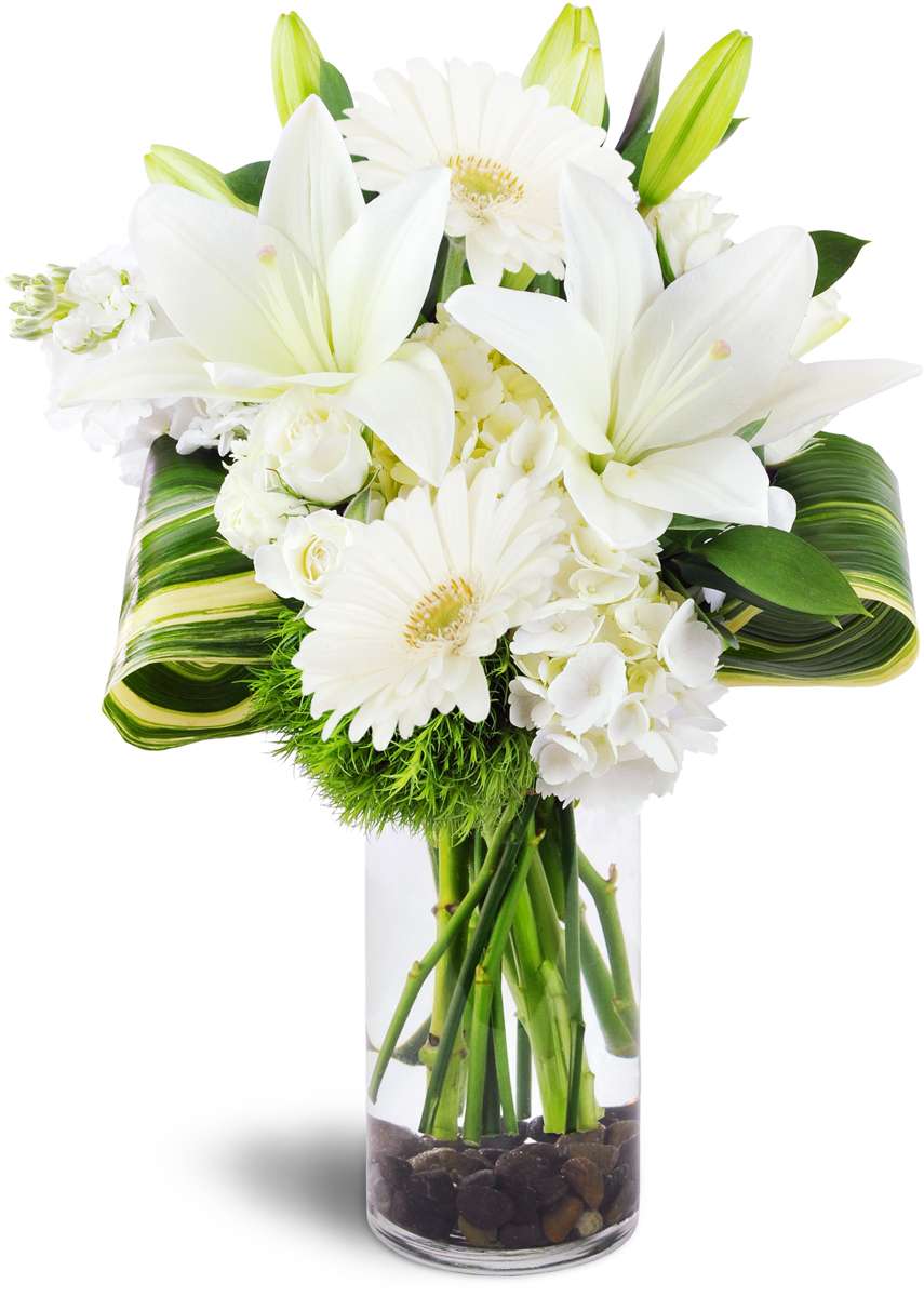 Petite Flower Shop | 6001, 1501 Harry Wurzbach Rd, San Antonio, TX 78209, USA | Phone: (210) 427-5106